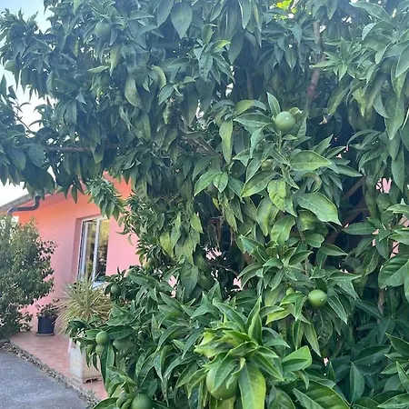 La Puesta Del Sol Emozionanti Tramonti Imperia