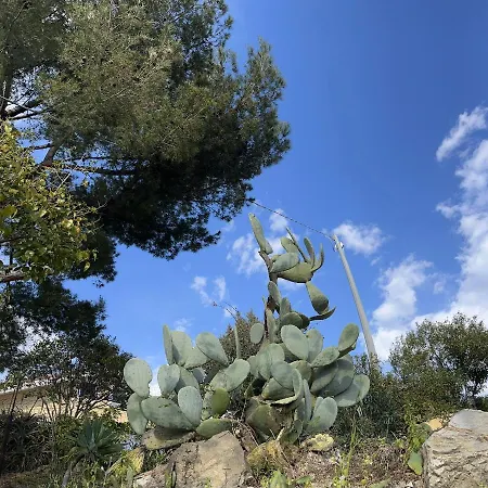 La Puesta Del Sol Emozionanti Tramonti *